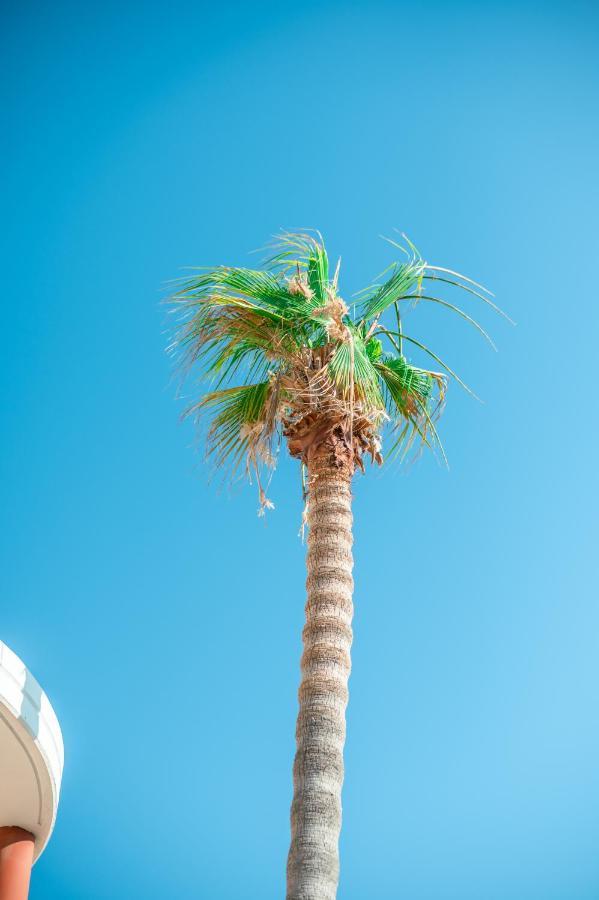 Kos City Apartments Exteriör bild